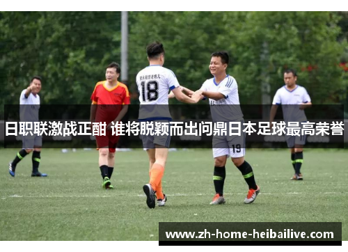 日职联激战正酣 谁将脱颖而出问鼎日本足球最高荣誉