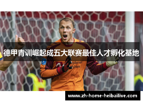 德甲青训崛起成五大联赛最佳人才孵化基地 德甲青训崛起成五大联赛最佳人才孵化基地